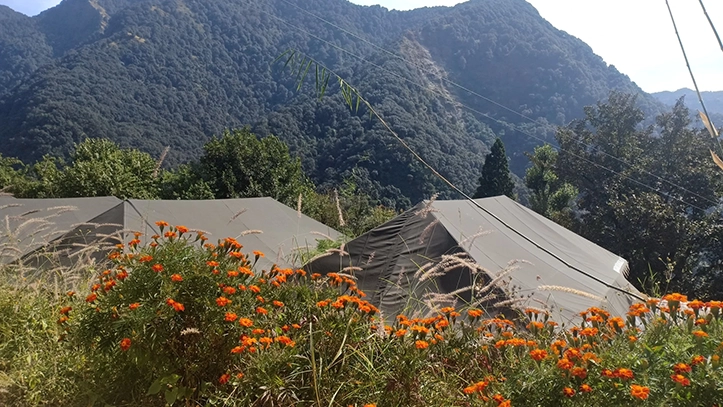 Get Relaxed while looking at the Mountains, Nainital Camping